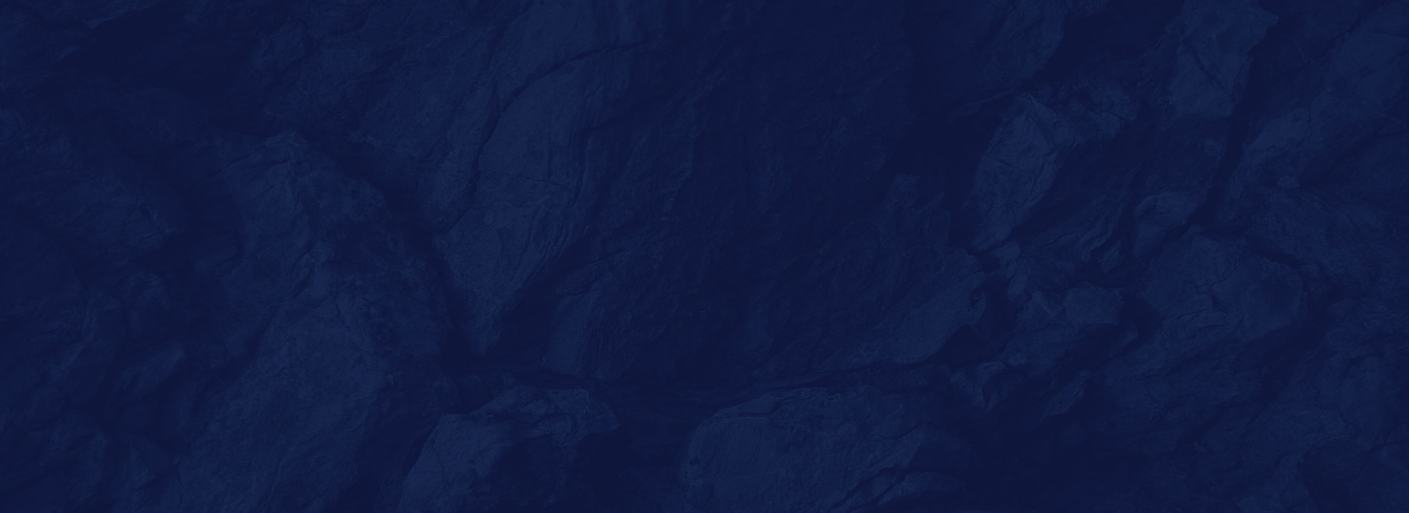 Banner media
